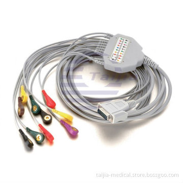 ECG Leads